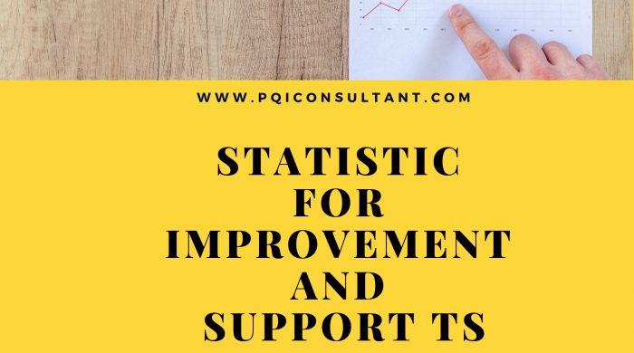 Statistic For Improvement and Support TS